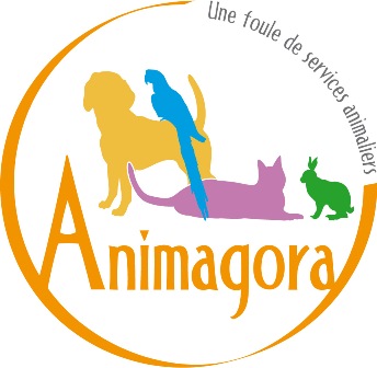 logo-animagora